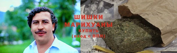 PSILOCYBIN Алзамай