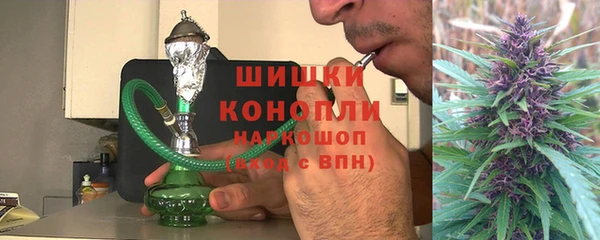 PSILOCYBIN Алзамай